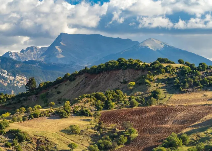 The House Olympia - Happy Rentals Olimpia admite animales