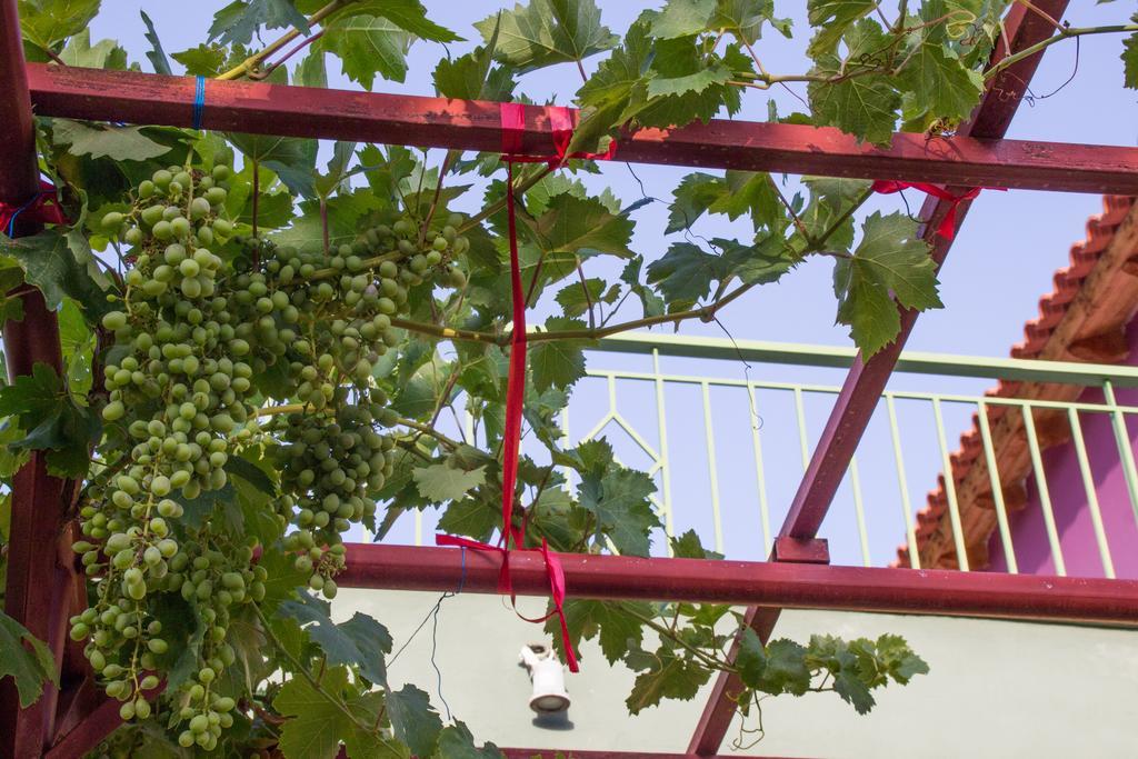 Studio (2 Adults + 2 Children),413649621:JPEG