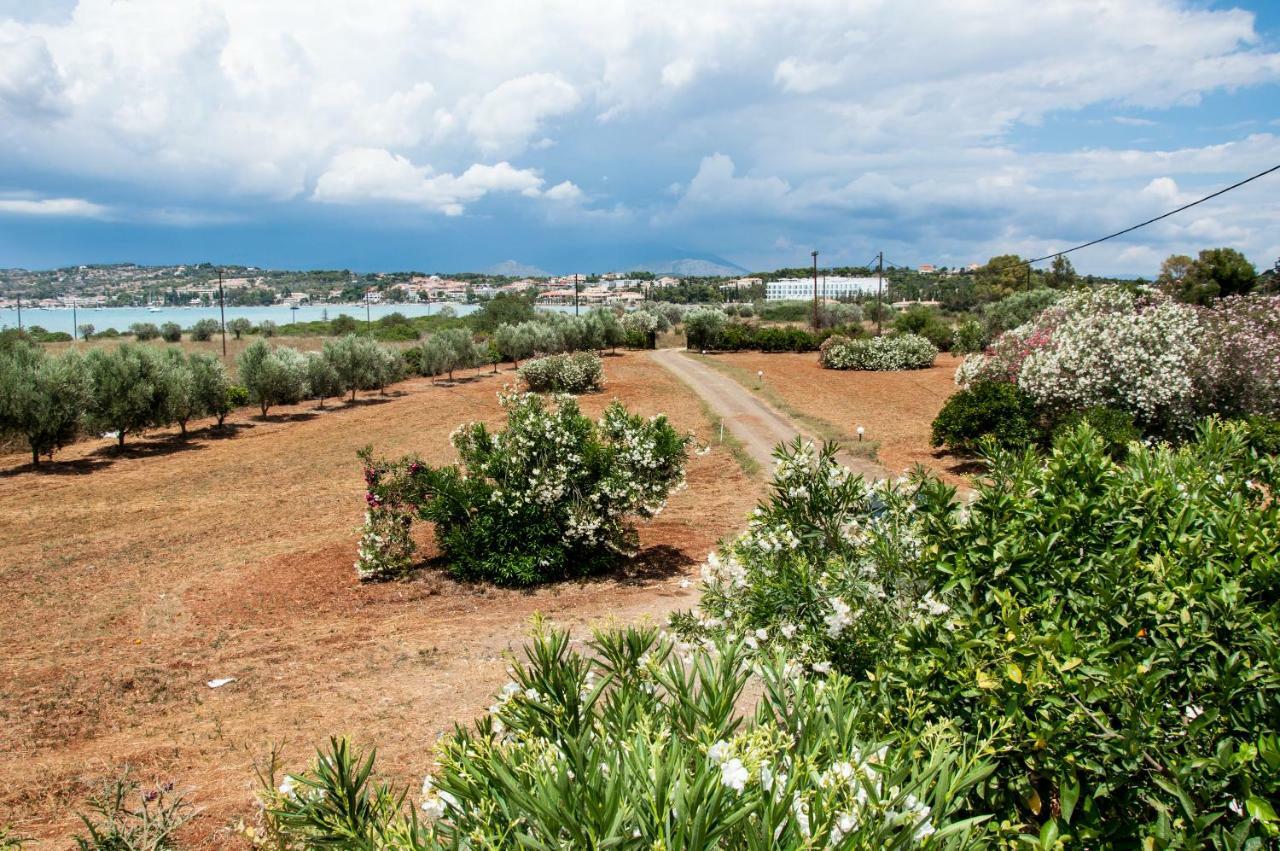 Villa,810523008:JPEG