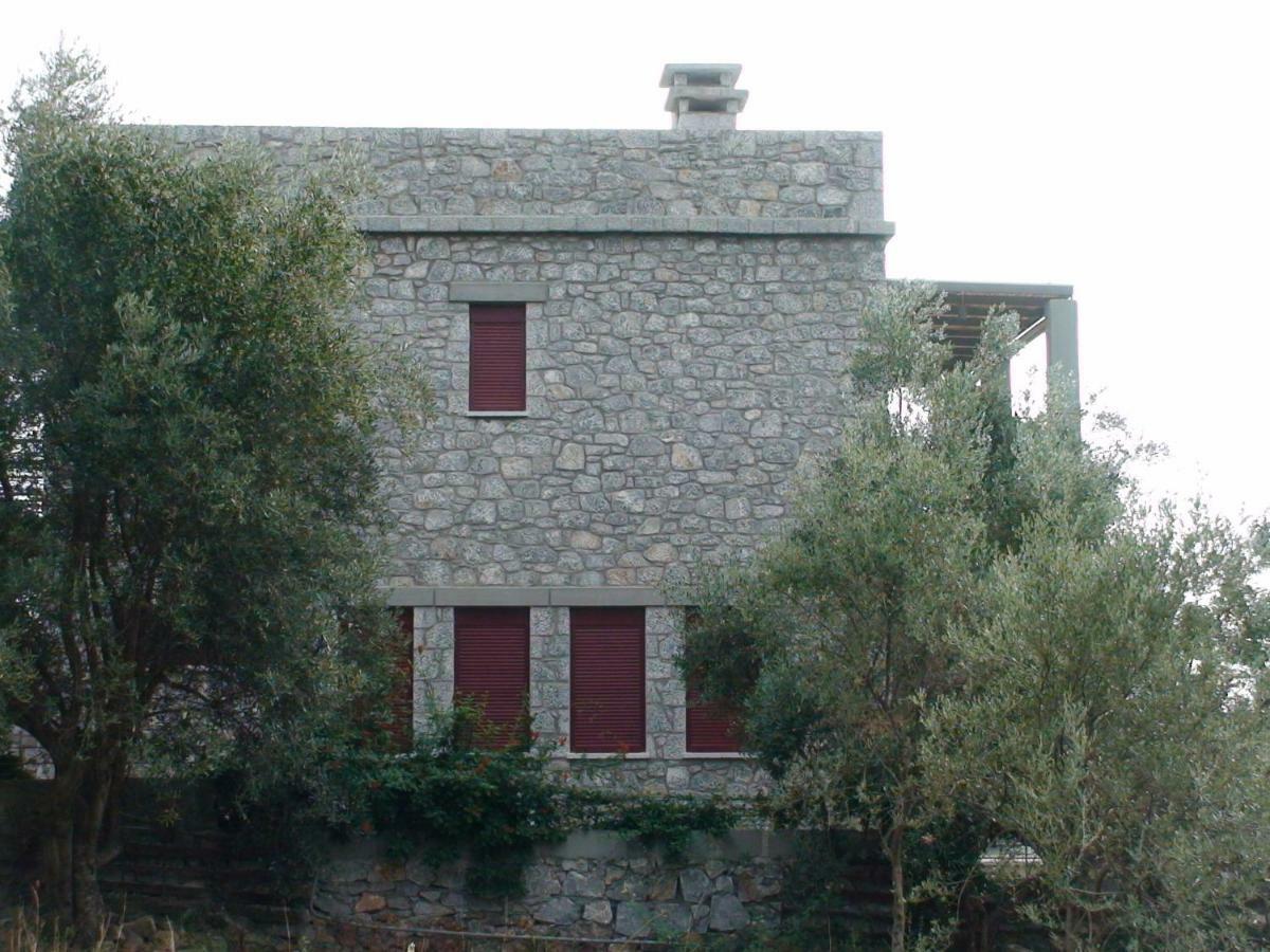 Holiday Home,864141131:JPEG