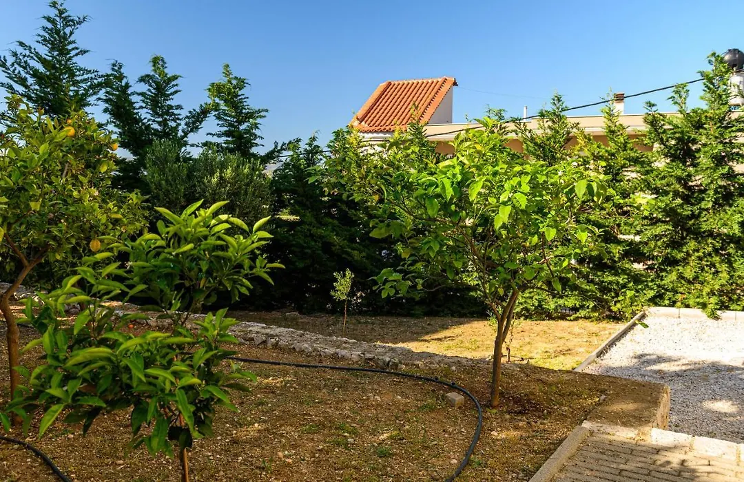 Minimal Studio In Nature, Exostis Nafplio-1