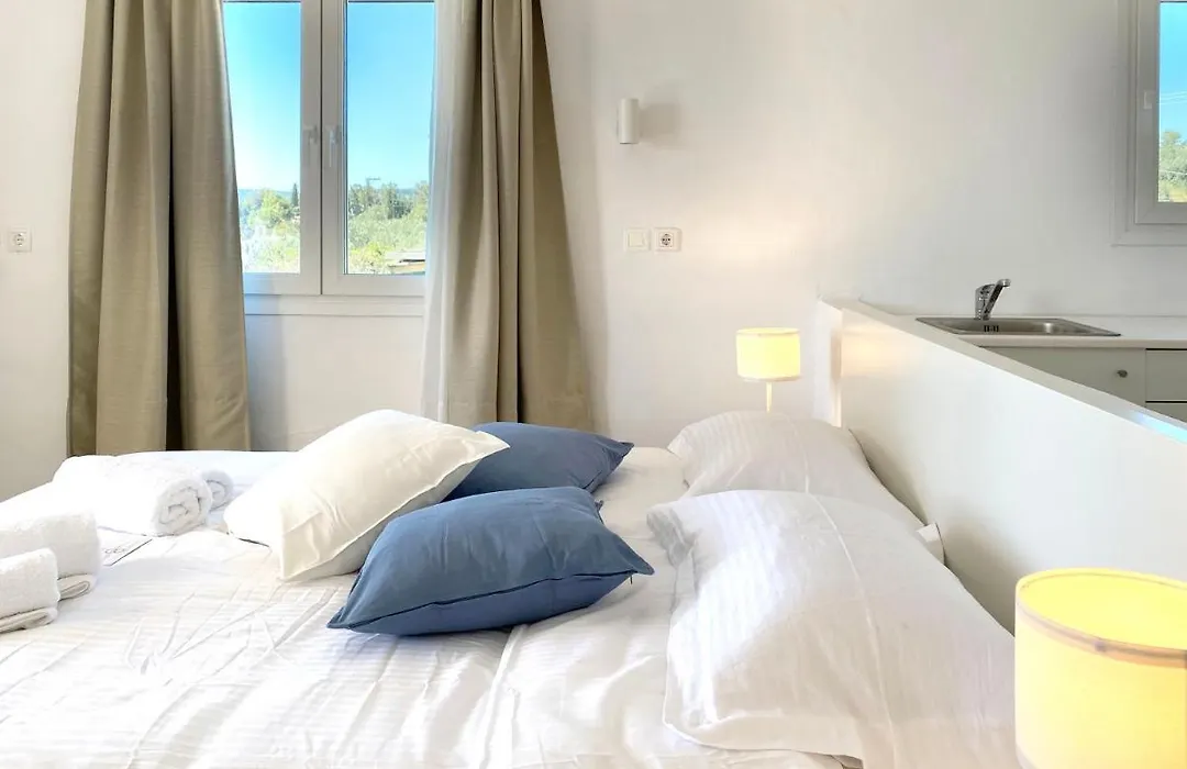 Palm Suite Blue-1