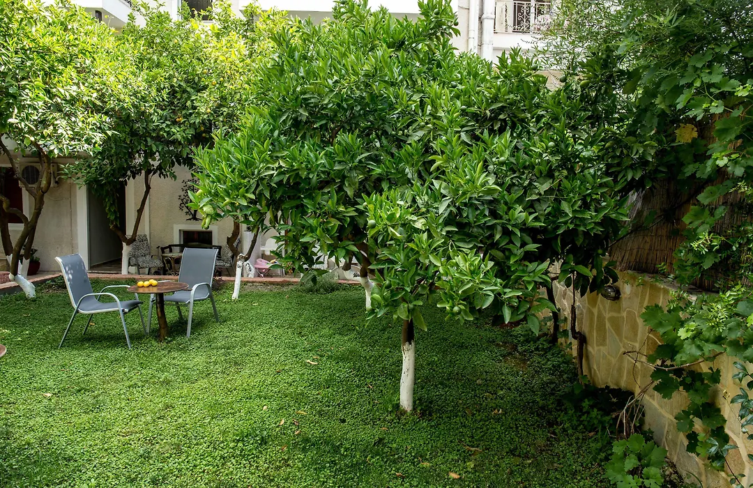 Oasis Apartments-1