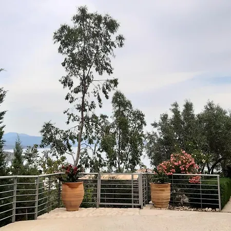 Stone House In Olive Grove-3
