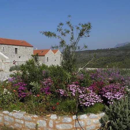 Althea Village-3