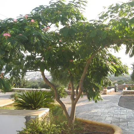 Studios Maniati-3