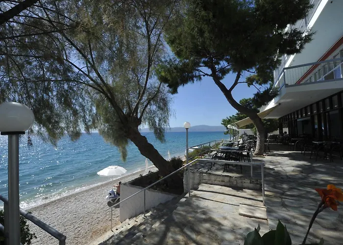 Siagas Beach Hotel Άγιοι Θεόδωροι