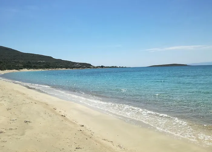Pallas Pension Elafonissos che accetta animali